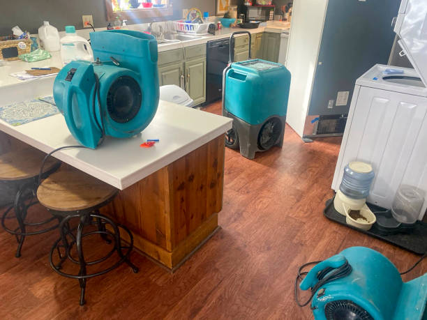 Best Basement water damage restoration  in Estill Springs, TN