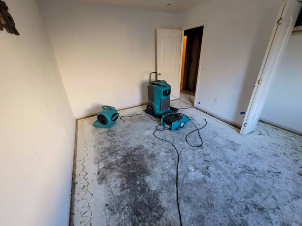 Best Emergency water damage restoration  in Estill Springs, TN