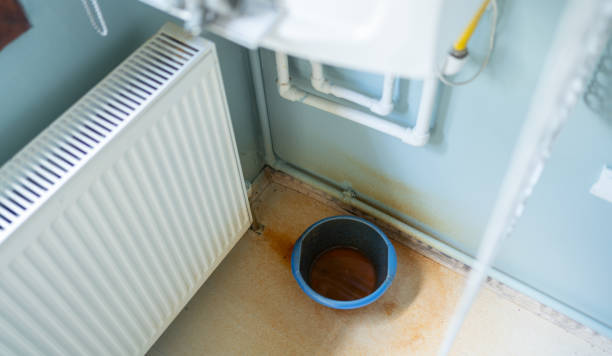 Best Water damage restoration experts  in Estill Springs, TN
