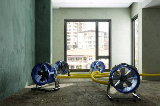 Best Flood restoration services  in Estill Springs, TN